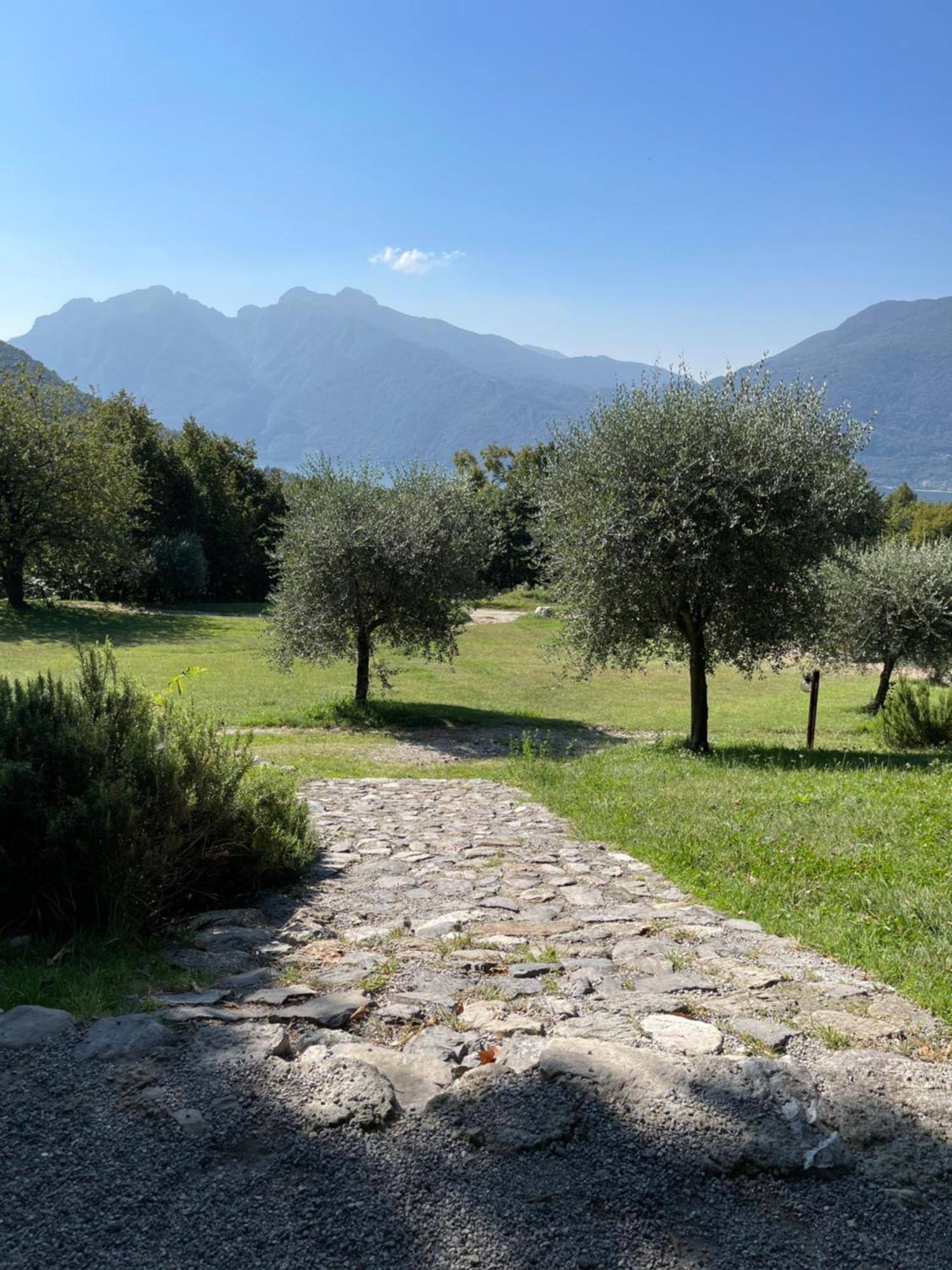 Agriturismo La Selvaggia Mandello del Lario Exterior photo